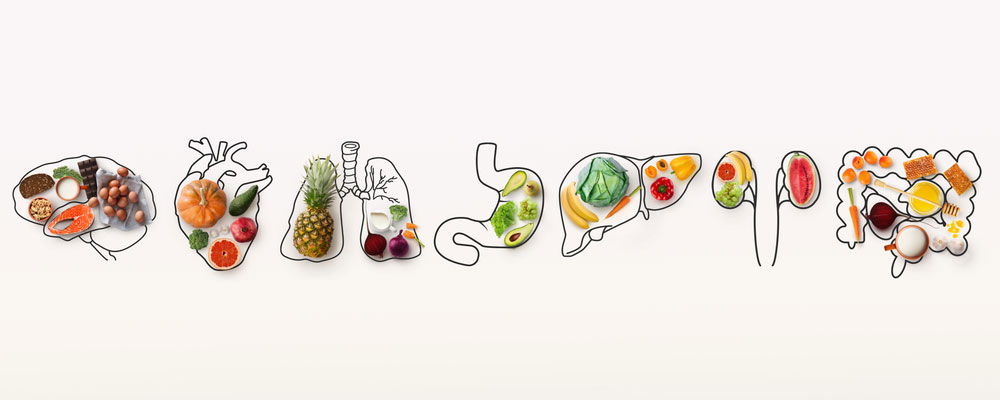 Nourishing Your Brain: How Nutrients Shape Cognitive Health