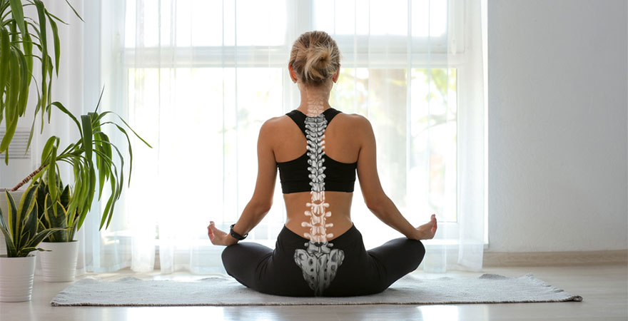 Posture, Pain, and Performance: The Science of Spinal Optimization